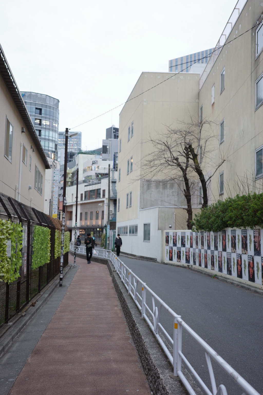 白色建築與一棵冬日樹木構成的街道
